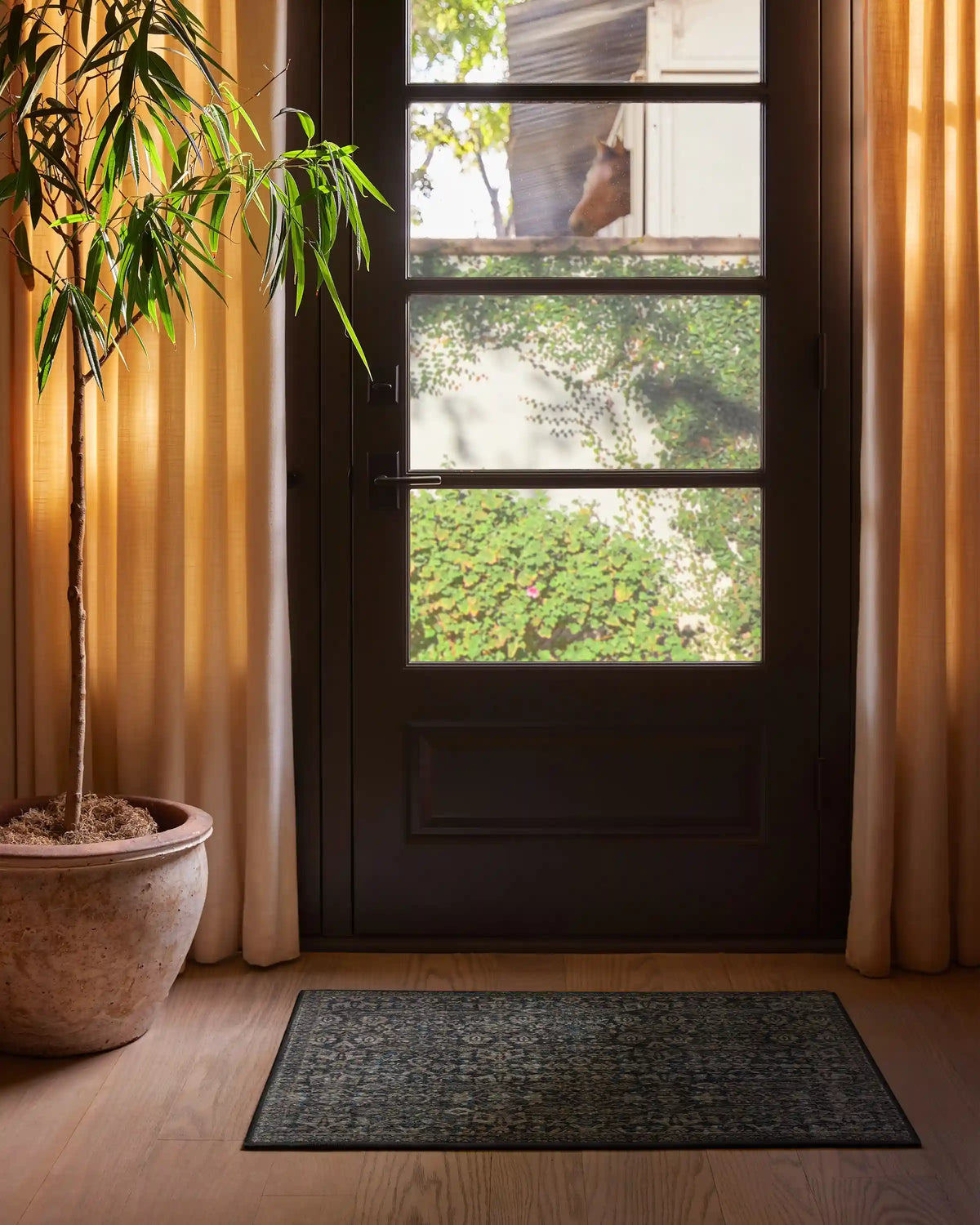 Sierra Soft Black Rug